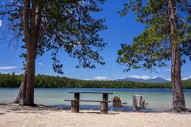 Beautiful glacial black lake and pine branches in montenegro. Campground Details White Lake State Park Nh New Hampshire Division Of Parks And Recreation