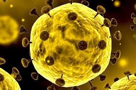 This paper proposes an alternative mechanism of action. Studi Obat Anti Parasit Ivermectin Disebut Potensial Sembuhkan Corona
