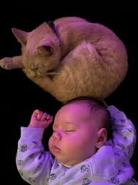 Amber Letteer (@ambernicole7__) • Instagram photos and videos