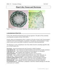 They are cells that have a distinct nucleus and other cellular organelles enclosed within a membrane and thus are eukaryotic in origin. Plant Cells Tissues And Meristems