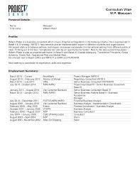 Cisco value engineering consultant resume template. Senior Business Consultant Resume Sample Templates At Allbusinesstemplates Com