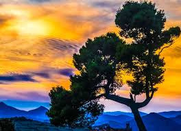 Today is the summer solstice. Letni Slunovrat 2021 Je V Pondeli 21 Cervna Jak Vyuzit Jeho Magickou Silu Dama Cz