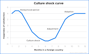The 4 Stages Of Culture Shock Blog Participate