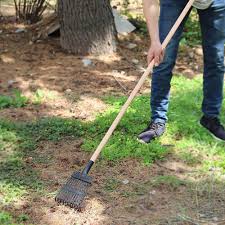 Check spelling or type a new query. The 5 Best Shrub Rakes
