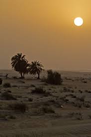 sunset in de desert jubail ash sharqiyah east saudi arabia desert sunset sunset saudi arabia
