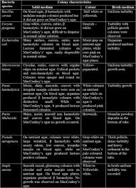 Internet Scientific Publications