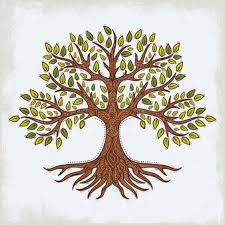 Imagenes De Vida Arbol Vectores Fotos De Stock Y Psd Gratuitos