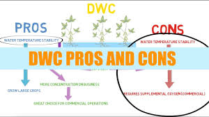 Dwc Pros And Cons Aquaponics Youtube