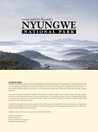 Image result for Beilschmiedia rwandensis