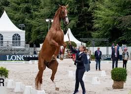 Juliette ramel and buriel had been on sweden's crew on the 2016 olympics, the 2018 tryon world video games and on the bronze medal crew on the 2019 europeans. Antonia Ramel Dressage News