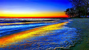 Choose from hundreds of free desktop wallpapers. 50 Download Free Wallpapers On Wallpapersafari