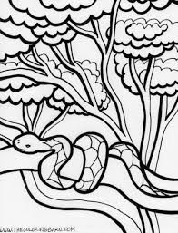 If you want snake picture for coloring yourself then you need to. Subtracting Decimals Ks2 Owl Coloring Pages Already Colored Rainforest Snake Coloring Pages My School Printable Worksheets Calculator For All Math Problems Subtracting Decimals Ks2 Algebra Answers Calculator Rounding Fractions Do My Math