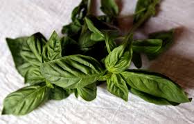 The health benefits of herbs - The Washington Post