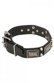 Design meets premium construction in this women's casual shoe. Cool Leather Dog Collar With Massive Plates And 2 Nickel Pyramids