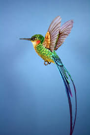 Les Oiseaux De Papier Et De Bois De Zack Mclaughlin 2 Papier Vogel Kolibri Kolibri Zeichnung
