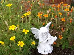 Maybe you would like to learn more about one of these? 22 Marigolds Insect Repelling Flowers Ideas Marigold Plants Flowers