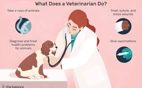 Programs typically take four years to finish and involve. Zoo Veterinarian Job Description Salary Skills More