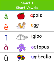 phonics chart 1 short vowels and other poster on this site