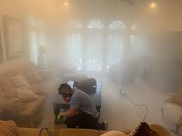 Maybe you would like to learn more about one of these? College Park Greater Orlando S Most Economical Mold Removal Service 2020