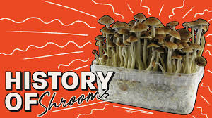 Here's how you can get shrooms, without breaking the law! History Of Magic Mushrooms Youtube