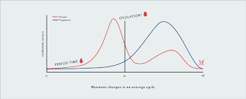 62 Extraordinary Pregnancy Hormones Graph