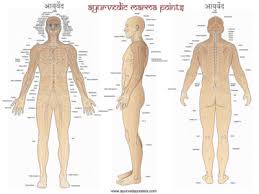 Ayurvedic Marma Point Self Massage Gingergarner Com