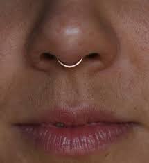 Akin to saepēs hedge, fence. Rose Gold Colored Septum Clicker Septum Piercing Jewelry Septum Piercing Septum Jewelry