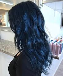 Dark Black And Blue Hair Dye 298 Likes 19 Comments Winnipeg Hair Salon Amberjoyandco On Instagram Navy Blue Stylist Suzy Hai Hair Color For Black Hair Blue Ombre Hair Blue Hair