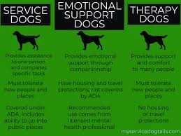 Service dogs go through special training processes and need to have specific qualifications. At A Glance Different Helping Dogs Therapy Dogs Emotional Support Dog Emotional Support Animal
