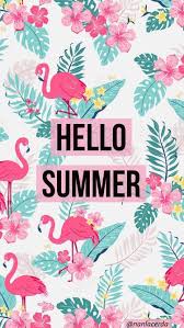 Pin By Lotte Pipelers On Flamingo Cute Summer Wallpapers Wallpaper Iphone Cute Cute Wallpapers