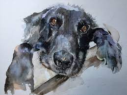 Pet portraits by catherine anderson. How To Paint Your Dog In Watercolours Arttutor
