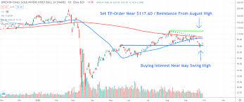 Big banks etn (bnkd) +26.6%.gold miners. Gold Miner Etfs Strike Buyers At Chart Support