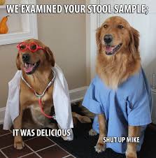10 memes only a doctor should understand, but you might too