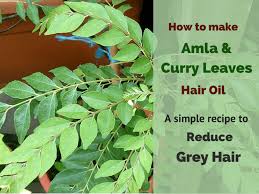 Kerala sadya recipes full preparation #2 onam sadhya via www.youtube.com. How To Make Amla Curry Leaves Hair Oil A Simple Recipe To Reduce Grey Hair Hair Buddha