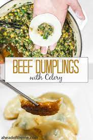 Chinese Beef Dumplings With Celery Recipe Beef Dumplings Food Cooking Chinese Food