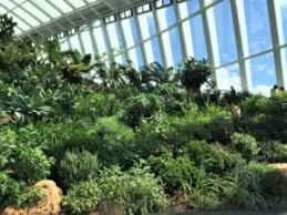 Things to do near botanical garden (botanischer garten). Sky Garden London Lohnende Alternative Zu The Shard Die Bunte Christine