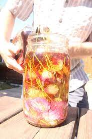 Pin On Medicinal And Herbal Recipes