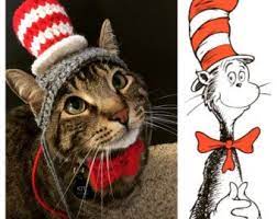 Cat In The Hat Hat Google Search Pet Costumes Cat Hat Cats