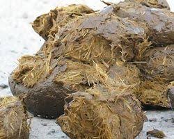 поздравление с днем рождения свекрови от невестки в стихах Pin Na Doske Ogorod