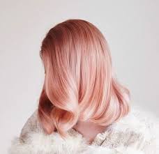 We did not find results for: 12 Hottest Rose Gold Hair Colors Trending Right Now