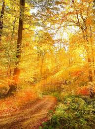 Fall Photography Tips in Susquehanna River Valley | Parks & Trails