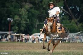 Foto de Adestramento Cavalo e mais fotos de stock de Argentina - Argentina,  Ga&uacute;cho, Cultura Argentina - iStock