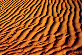 Bildergebnis für Turing pattern