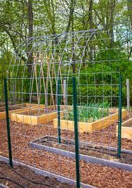 Buy the best and latest cattle panel on banggood.com offer the quality cattle panel on sale with worldwide free shipping. My Cattle Panel Trellis Kevin Lee Jacobs