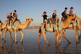 Different types of off road rv trailers. Broome Camel Safaris Full Range Camping Directory