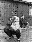 Schindlers began in 1994 as an international legal practice in the city of london and has grown into for example, our schindlers uk property holding structure assists clients in purchasing, renting and. Mitwirkende Beim Film Schindlers Liste Lernwerkstatt Film Und Geschichte