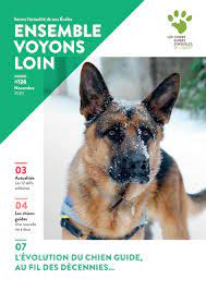 We did not find results for: Ensemble Voyons Loin 126 By Chien Guide Ouest Issuu