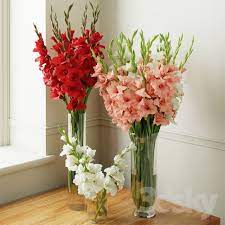 Gladiolus 2 Flower Vase Arrangements Vase Arrangements Beautiful Flower Arrangements