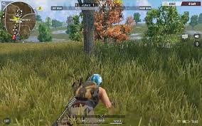 Rules of survival dan free fire tentu menjadi booming karena terinspirasi game desktop berjudul playerunknown s battlegrounds (pubg). Rules Of Survival Vs Knives Out Which Game Gets Chicken Dinner
