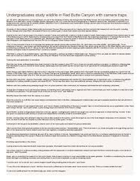 Engineering An Empire China Worksheet Answers Kids Activities